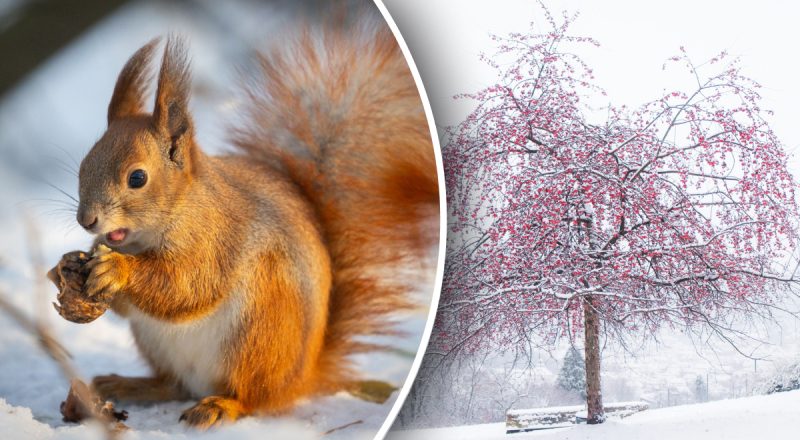 Какой сегодня праздник 18 января 2025 года: что запрещено делать в этот день