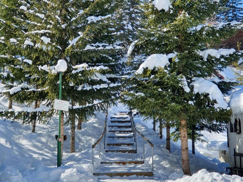 В Україну повертається сніг та дощ: у яких регіонах будуть опади