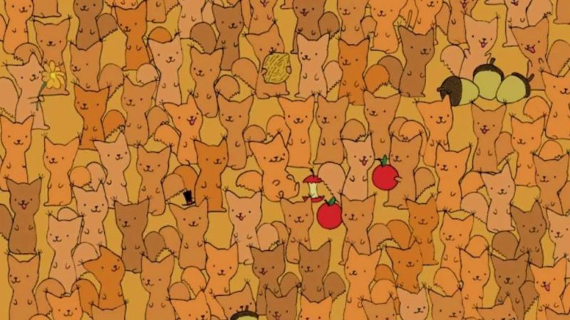 Тест на IQ: знайдіть мишу серед безлічі білок за 5 секунд