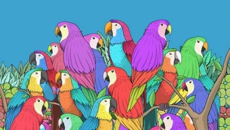 Где спряталась бабочка: лишь единицы ее заметят за 5 секунд