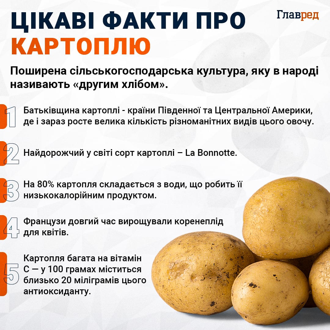 Цікаві факти про картоплю