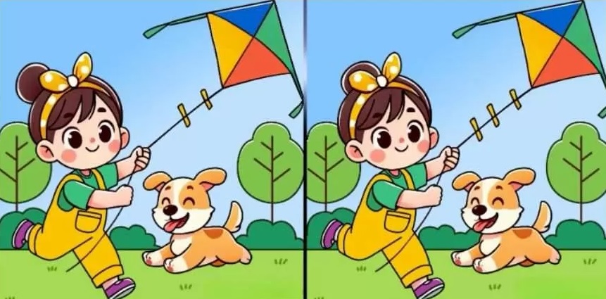 Загадка Загадка