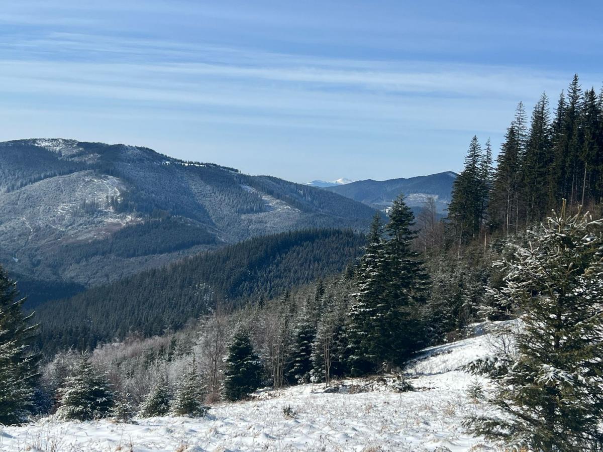 Погода в Карпатах Погода в Карпатах