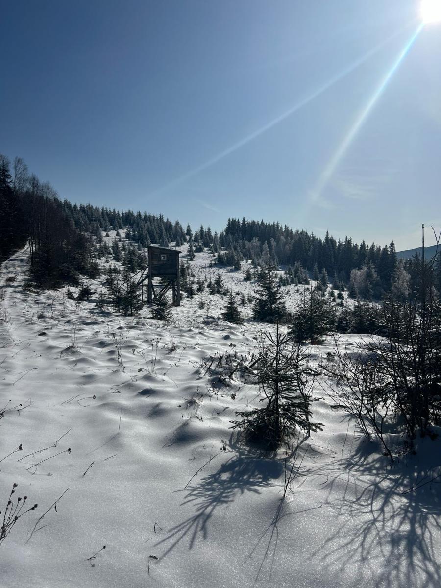 Погода в Карпатах Погода в Карпатах