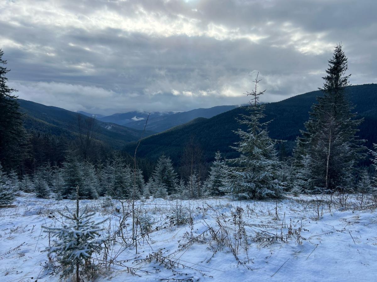 Погода в Карпатах Погода в Карпатах