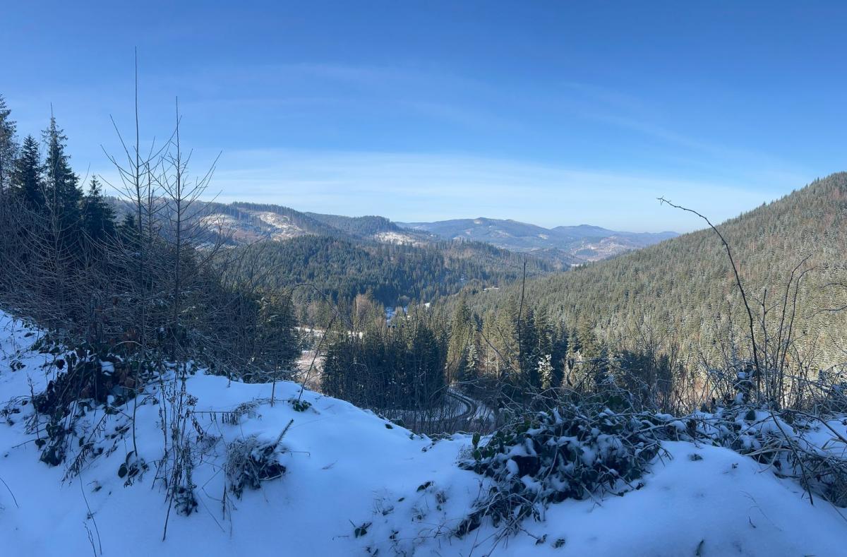 Погода в Карпатах Погода в Карпатах