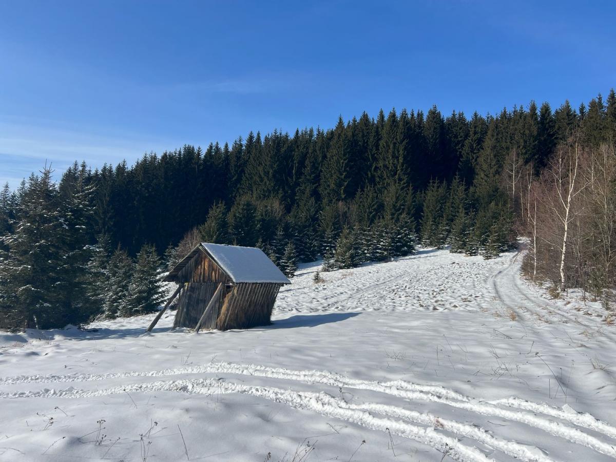 Погода в Карпатах Погода в Карпатах