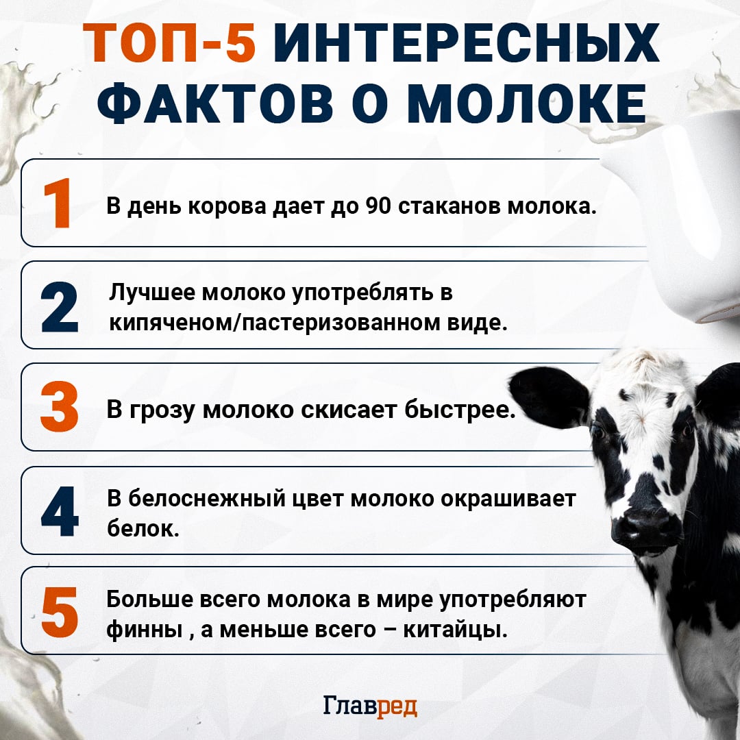ТОП-5 интересных фактов о молоке, молоко