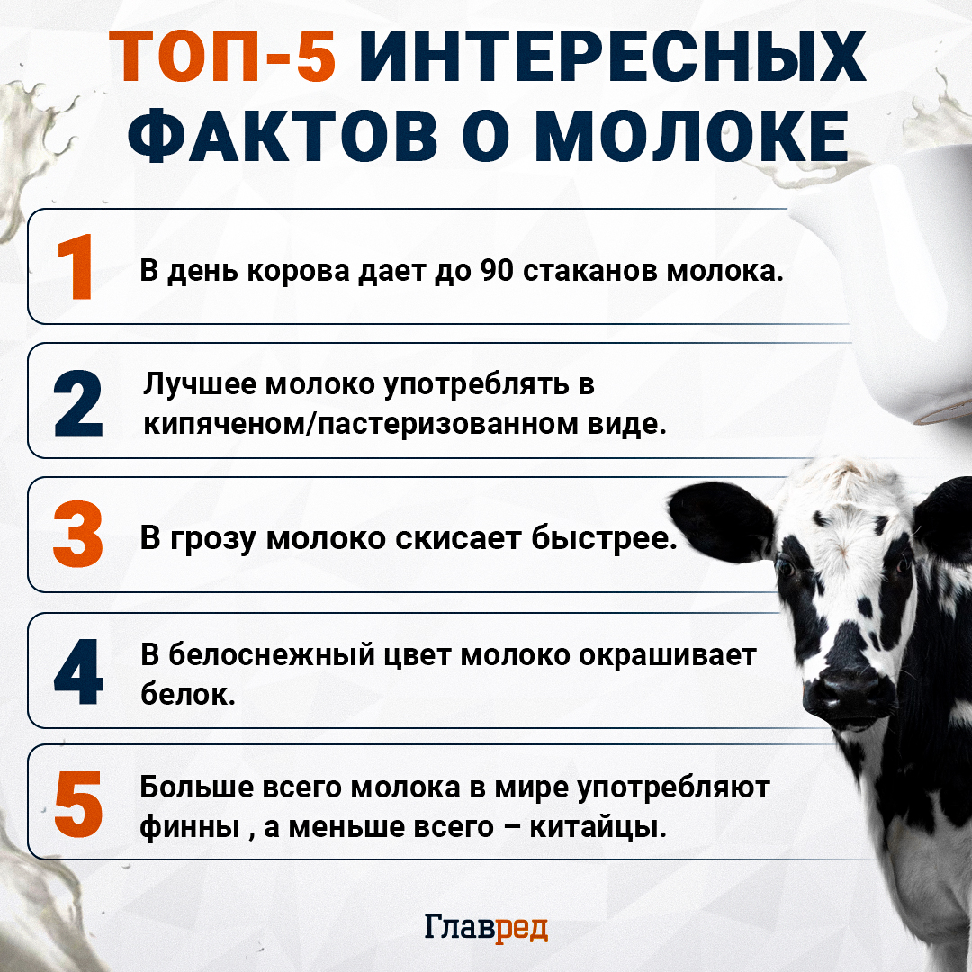 ТОП-5 интересных фактов о молоке, молоко ТОП-5 интересных фактов о молоке, молоко