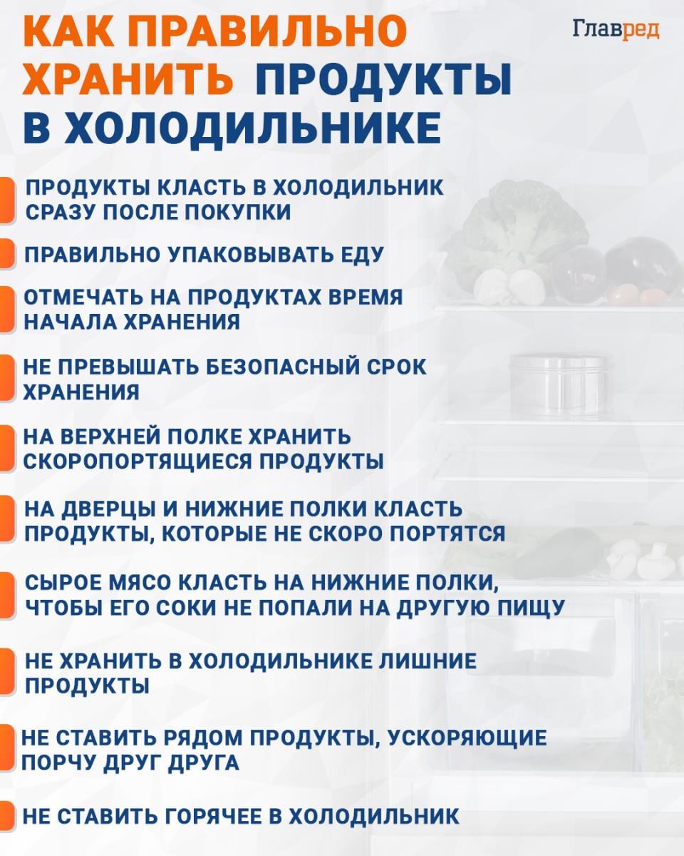 Как правильно хранить продукты в холодильнике инфографика
