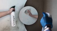 Експерти закликали обробити стіни оцтом у лютому: у чому причина