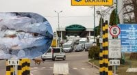 Чи можна перевозити рибу через кордон з Польщею: правила 2025 року