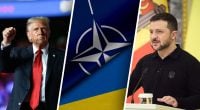 Трамп може сказати ні: Фесенко сказав, чому вступ до НАТО під загрозою