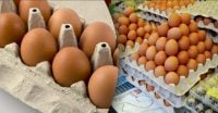 Вартість яєць в Україні: експерт сказав, коли ціни на них підуть угору