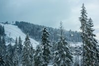 Штормовые порывы ветра и морозы: украинцев предупредили об опасной погоде