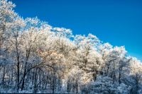 Влупить -15 градусів і з'явиться сніг: Україну атакувало сильне похолодання