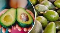 Авокадо дозріє за 24 години: експерти зізналися, як швидко зробити плід м'яким