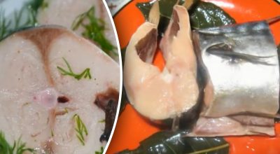 скумбрія скумбрія