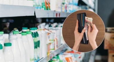 молочка, гривна