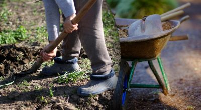 Жовтень приготував сюрприз: експертка розкрила 'золоті' дні для посадок