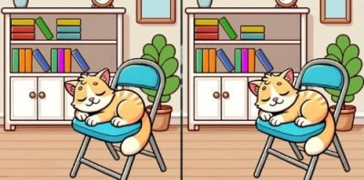 Де три відмінності між котами: лише гостроокі генії вгадають за 25 секунд