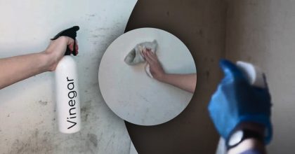 Эксперты призвали обработать стены уксусом в феврале: в чем причина