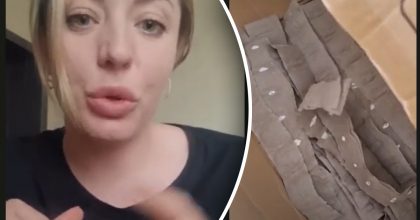 Как сажать морковь на туалетной бумаге: проверяем лайфхак из интернета