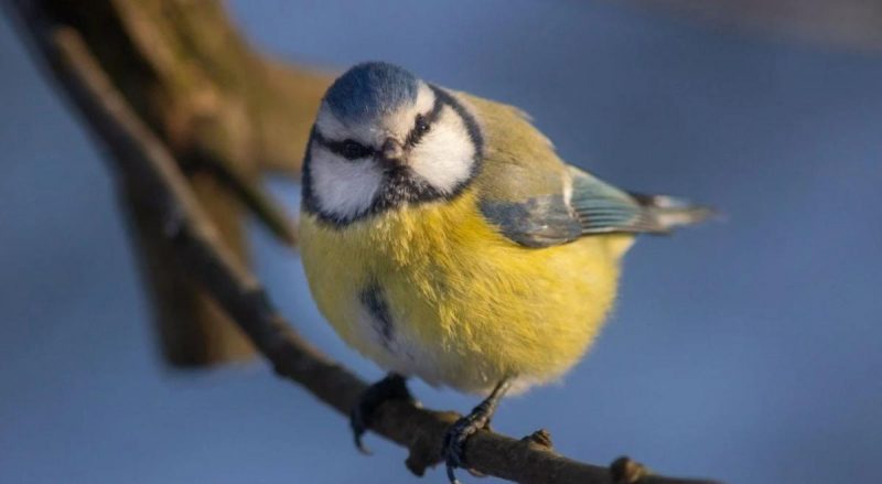 "На 1,5-2° вище за норму": Укргідрометцентр повідомив, яка погода буде в лютому