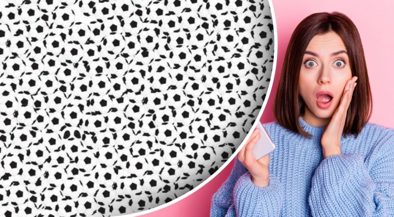 Де захована панда: лише люди із "зором орла" знайдуть її за 5 секунд