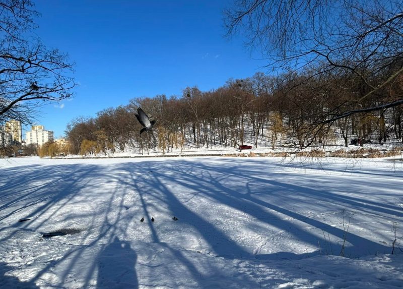 Весеннее тепло уже близко: синоптики назвали точную дату потепления в Украине