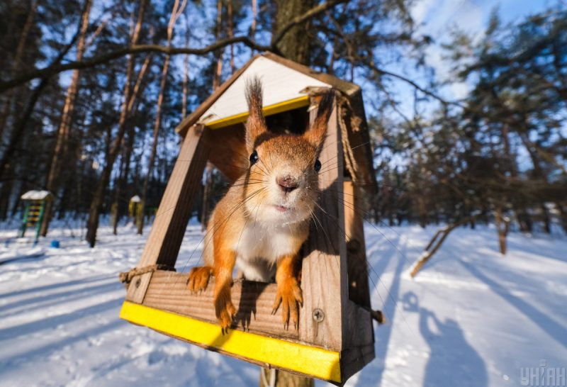 Ударит резкое потепление и растает снег: синоптик назвала дату