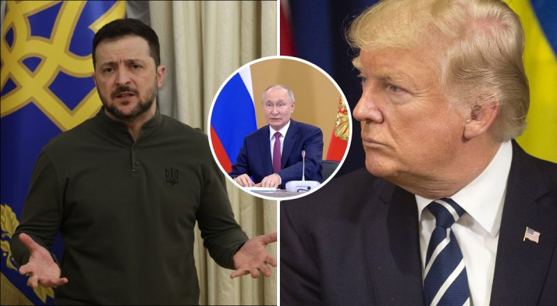 У Білому домі сказали, коли відбудуться зустрічі Трампа із Зеленським і Путіним