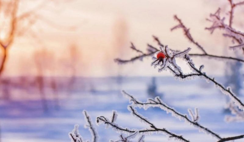 "Зима пакует чемоданы": синоптики предупредили о погодном сюрпризе в конце февраля