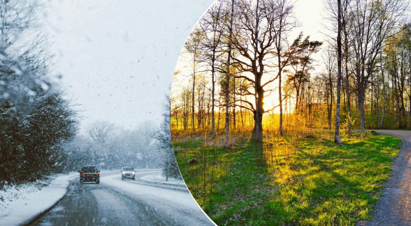 Спершу сніг, а потім +11: коли Україну накриє раптове потепління