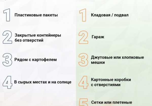 Где можно и нельзя хранить лук