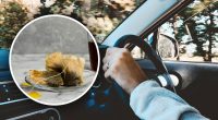 Досвідчені водії завжди возять в авто чайні пакетики в березні: для чого це