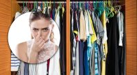 Як прибрати затхлий запах з шафи: дієвий лайфхак для свіжості