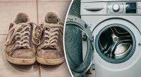Знають не всі: як якісно випрати взуття у пралці і не зіпсувати його