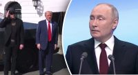 Трамп анонсував нові переговори з Путіним вже цього тижня: про що говоритимуть