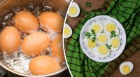 Фатальна помилка кулінарів: чому жовтки варених яєць зеленіють