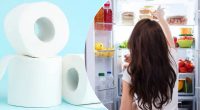 Навіщо класти туалетний папір у холодильник: відповідь здивує багатьох