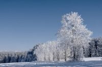 Коли в Україну увірветься -13 градусів: синоптики назвали точну дату