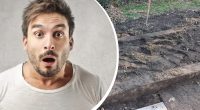 Мужчина копал в своем саду и был ошеломлен находкой: что там было