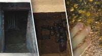 Чому в погребі мокра стеля - як позбутися конденсату