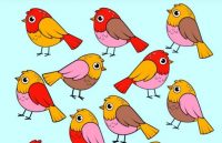 Непросте IQ-завдання: за 5 секунд знайдіть із 13-ти птахів особливу