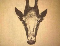 Хитрий тест на IQ: знайдіть пінгвіна на зображенні жирафа за 5 секунд