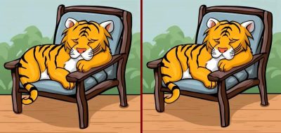 Загадка для людей із гострим зором: де 3 відмінності між левами