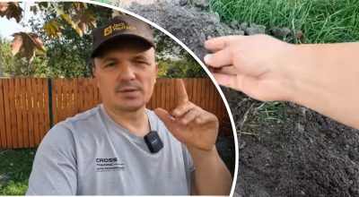 Чего боится крот на огороде