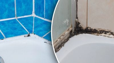 пліснява у душі пліснява у душі