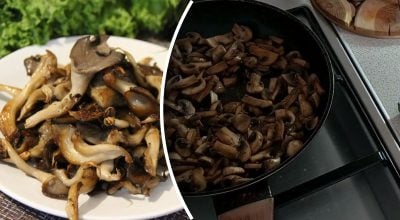 грибы, жареные грибы грибы, жареные грибы